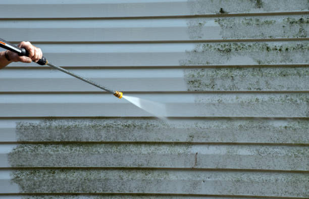 Best Local Pressure Washing Services  in Arlington, VA